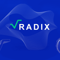 Radix .. هي أول شبكة blockchain من الطبقة الأولى مصممة خصيصًا لتطبيقات DeFi.