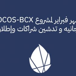 تقرير شهر فبراير 2021 لمنصة COCOS-BCX
