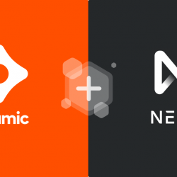 شراكة NEAR مع Ceramic بشأن الهوية عبر السلسلة وتخزين البيانات الديناميكي
