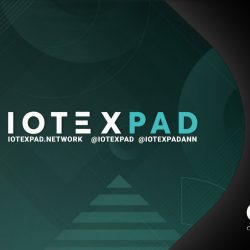 IoTeXPad أول منصة إطلاق مشاريع على شبكة IOTEX