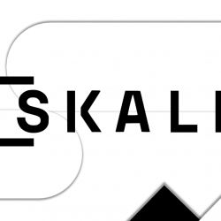مشروع SKALE ... مزايا السلسلة الجانبية