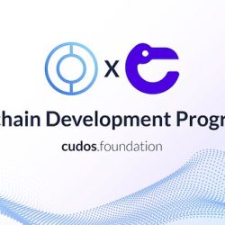 برنامج مطوري البلوكتشين المقدم من مؤسسة CUDOS