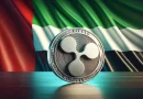 حصلت شركة Ripple على موافقة مبدئية من سلطة دبي للخدمات المالية (DFSA)