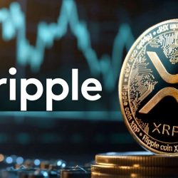 'Ripple Labs' ورئيسها التنفيذي تحت النيران وسط شائعاتٍ عن لقاءٍ مع 'ترامب'