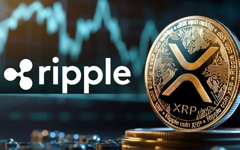 'Ripple Labs' ورئيسها التنفيذي تحت النيران وسط شائعاتٍ عن لقاءٍ مع 'ترامب'